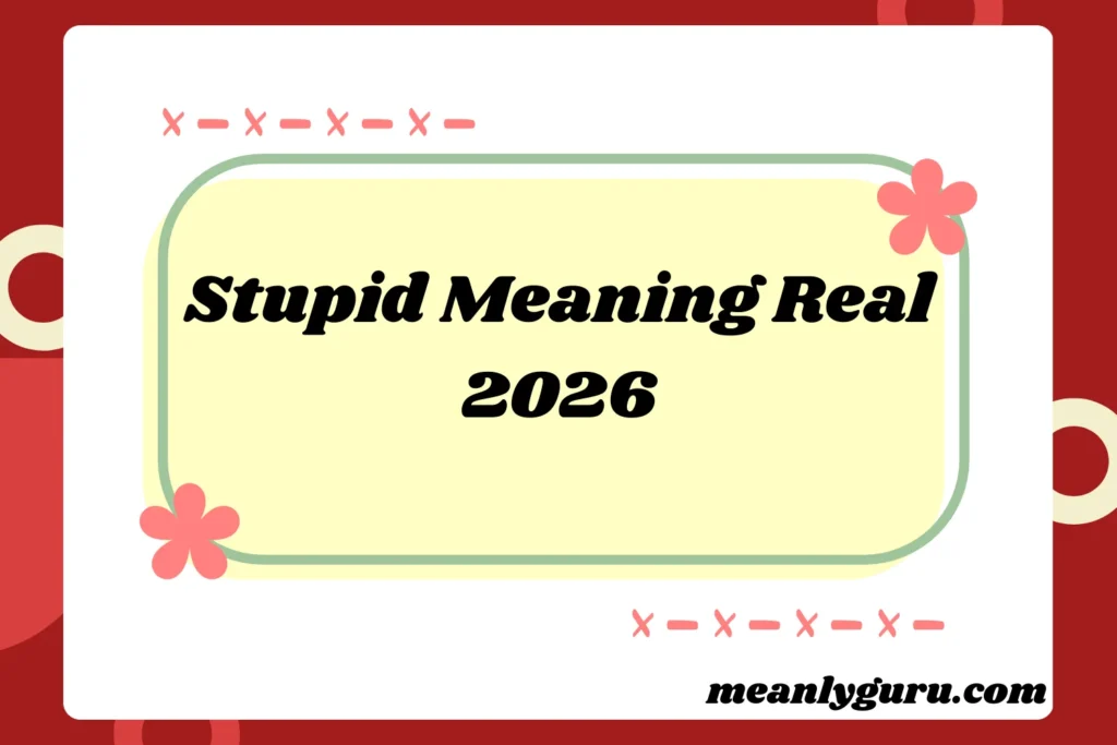 Stupid Meaning Real2026
