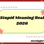 Stupid Meaning Real2026