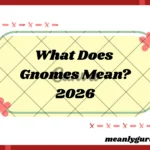 What Does Gnomes Mean? for 2026