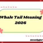 Whale Tail Meaning2026