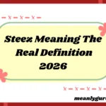 Steez Meaning2026