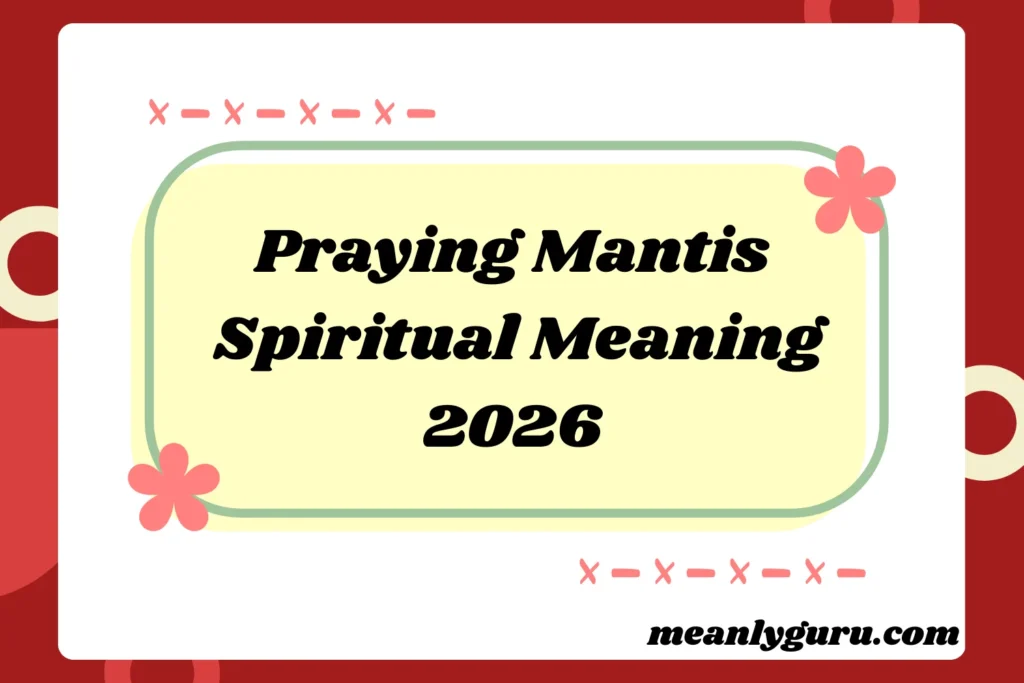 Mantis Spiritual Meaning2026