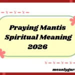 Mantis Spiritual Meaning2026