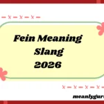Fein Meaning2026