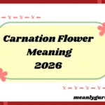 Flower Meaning2026