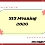 313 Meaning2026
