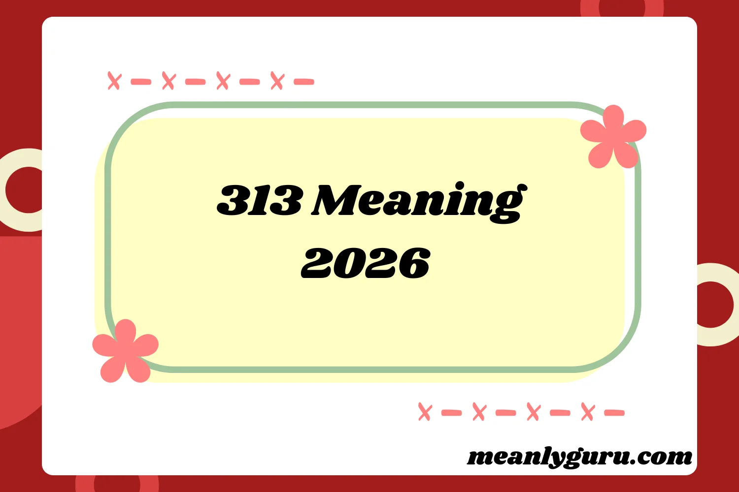 313 Meaning2026