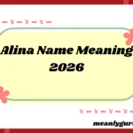 Alina Name Meaning2026