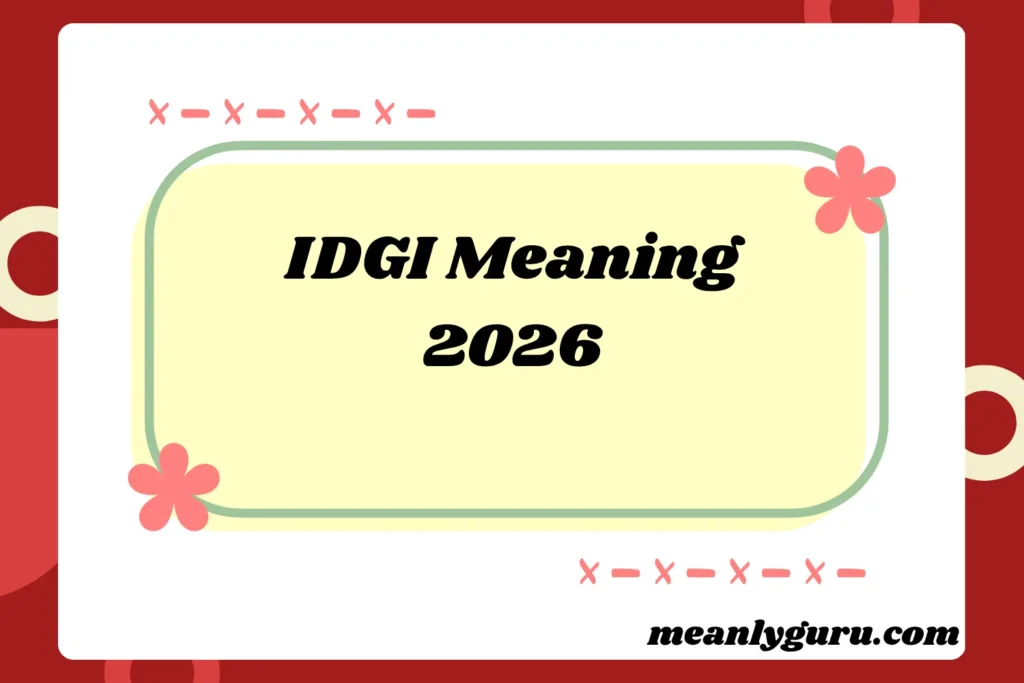 IDGI Meaning2026