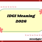 IDGI Meaning2026