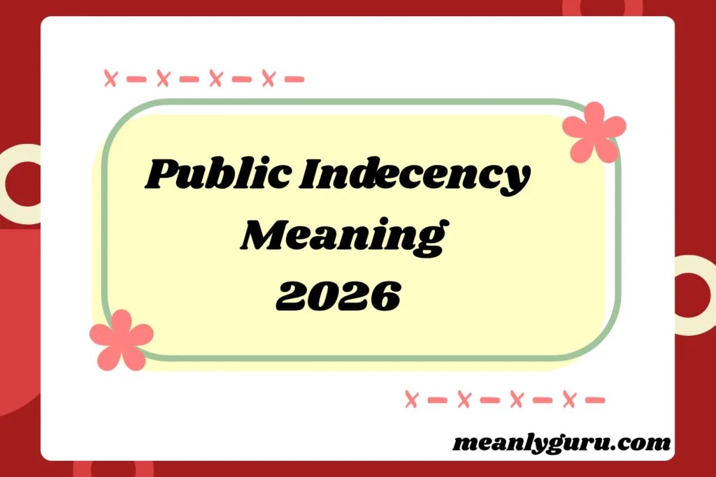 Public Indecency Meaning2026