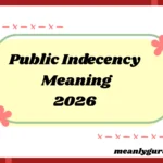 Public Indecency Meaning2026