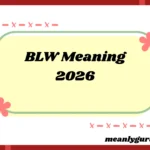 BLW Meaning2026