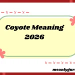 Coyote Meaning 2026