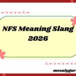 NFS Meaning2026