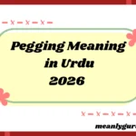 Pegging Meaning2026