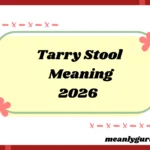 Tarry Stool Meaning2026