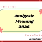 Analgesic Meaning2026