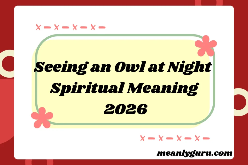 Seeing an Owl at Night2026