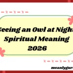 Seeing an Owl at Night2026