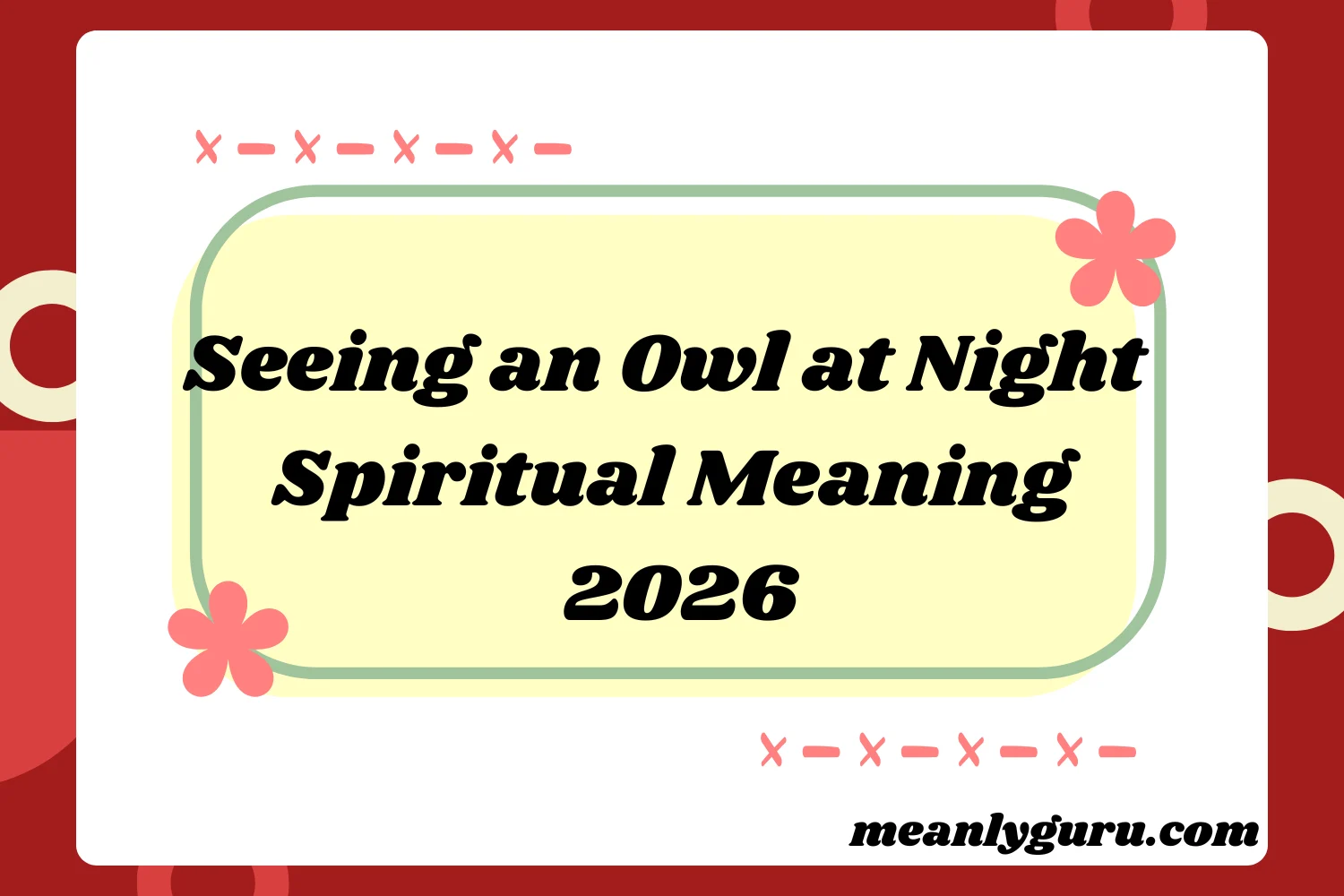 Seeing an Owl at Night2026