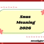 Snus Meaning2026