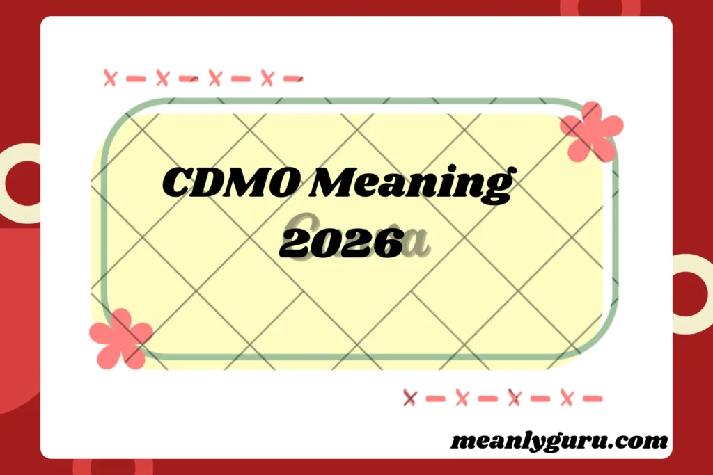 CDMO Meaning2026