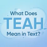 Teah Mean2026